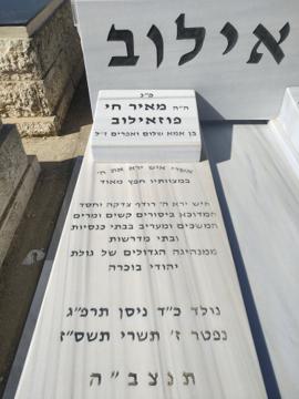 תמונת מצבה