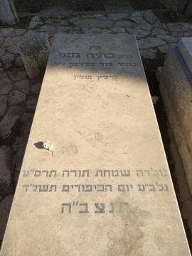 תמונת מצבה