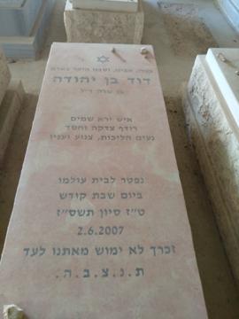 תמונת מצבה
