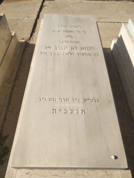 תמונת מצבה