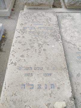 תמונת מצבה