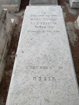 תמונת מצבה