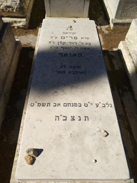 תמונת מצבה