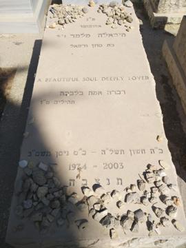 תמונת מצבה