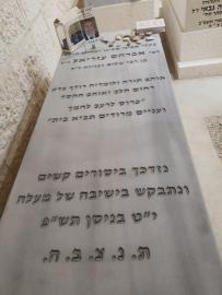 תמונת מצבה