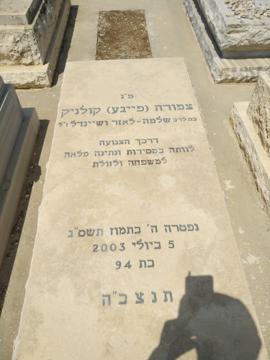 תמונת מצבה