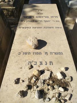 תמונת מצבה