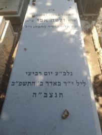תמונת מצבה