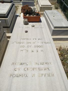 תמונת מצבה
