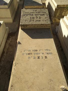 תמונת מצבה