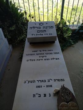 תמונת מצבה