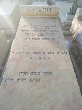 תמונת מצבה