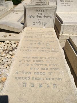 תמונת מצבה
