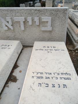 תמונת מצבה