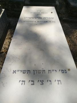 תמונת מצבה