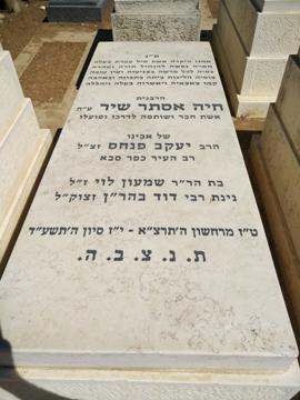 תמונת מצבה