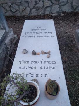 תמונת מצבה