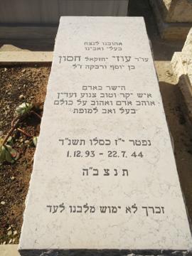 תמונת מצבה