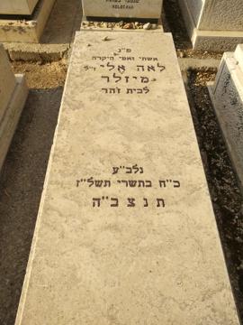 תמונת מצבה