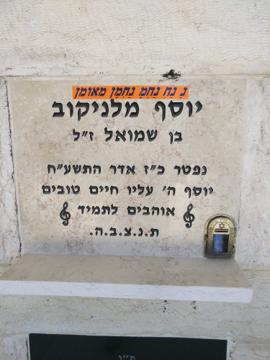 תמונת מצבה
