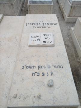 תמונת מצבה