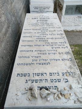 תמונת מצבה