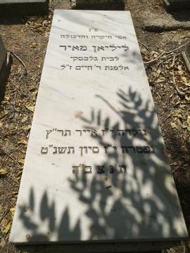 תמונת מצבה