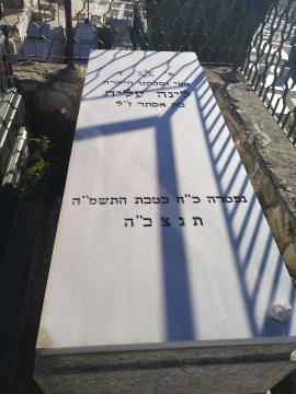 תמונת מצבה