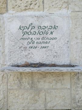 תמונת מצבה