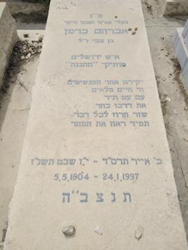 תמונת מצבה