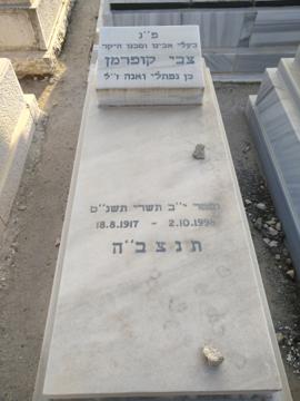 תמונת מצבה