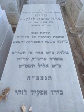 תמונת מצבה
