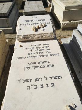 תמונת מצבה