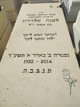 תמונת מצבה