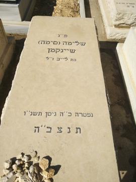 תמונת מצבה