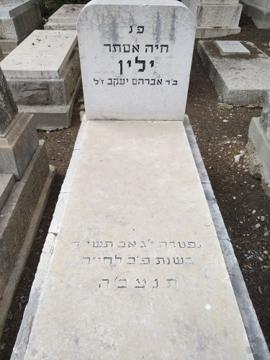 תמונת מצבה