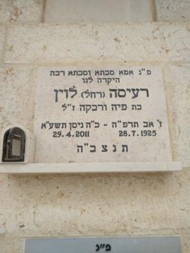 תמונת מצבה