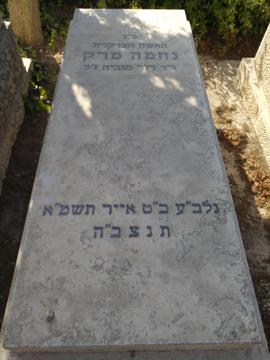 תמונת מצבה