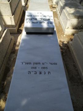 תמונת מצבה