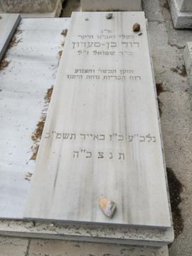 תמונת מצבה