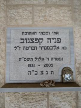 תמונת מצבה