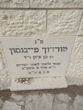 תמונת מצבה
