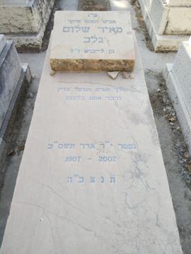 תמונת מצבה