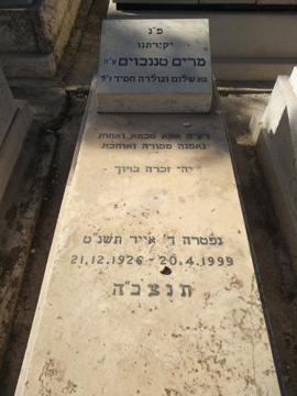 תמונת מצבה