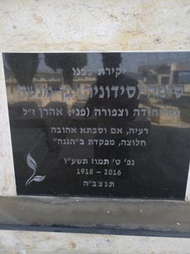 תמונת מצבה