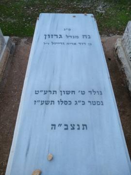 תמונת מצבה