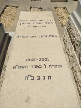 תמונת מצבה