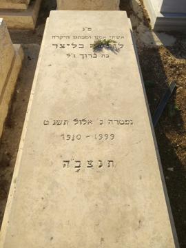 תמונת מצבה