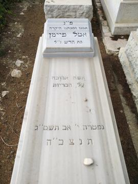 תמונת מצבה