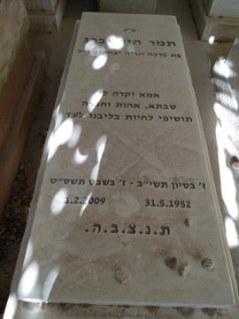 תמונת מצבה